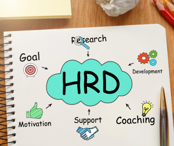 Comment les DRH de 2024 allient stratégie, technologie et empathie pour un avenir durable